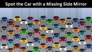 Missing Side Mirror