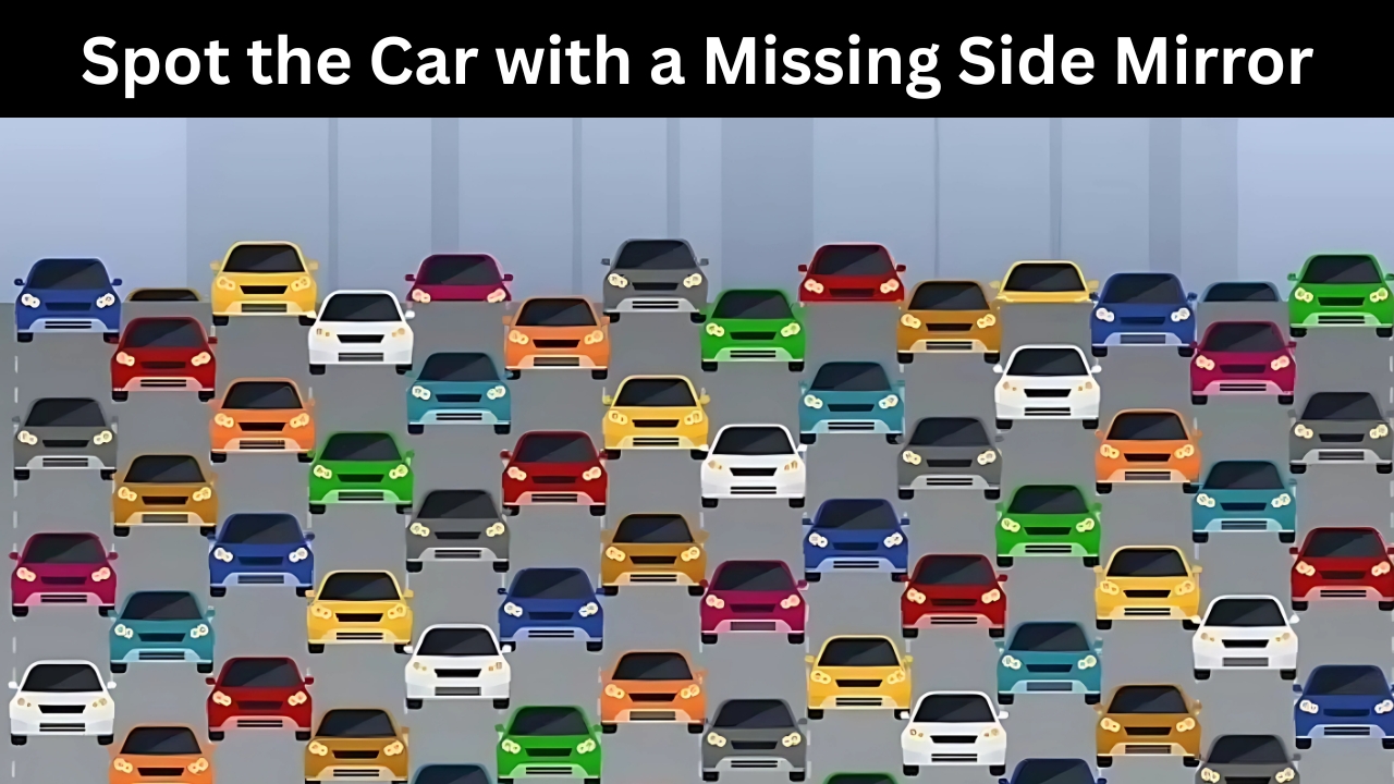 Missing Side Mirror