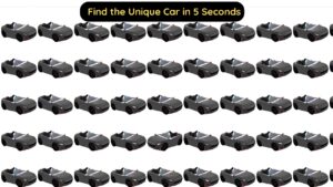 Find the Unique Car