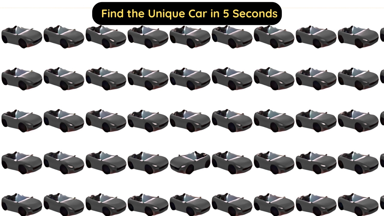Find the Unique Car