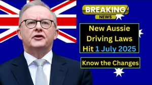 Aussie Driving Laws